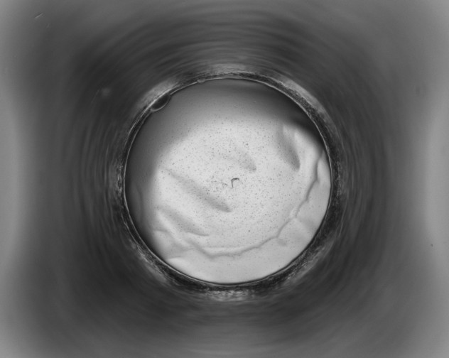 X0000086270793200704191924