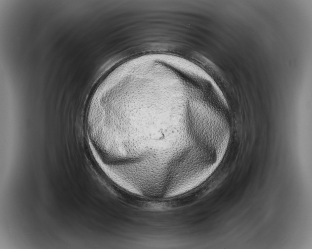 X0000086270794200704191924