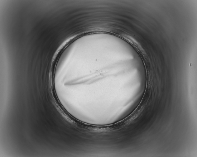 X0000086270796200704191924