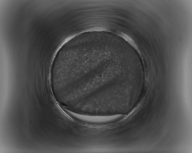 X0000086270797200704191924