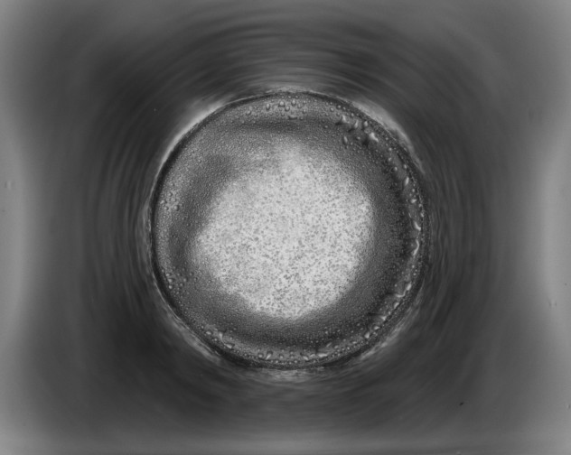 X0000086270798200704191924