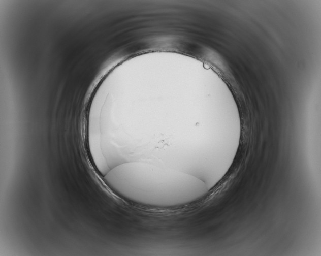 X0000086270804200704191923