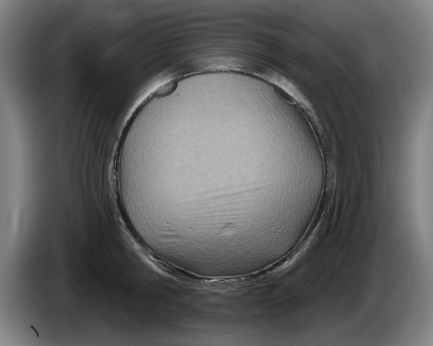 X0000086270806200704191923