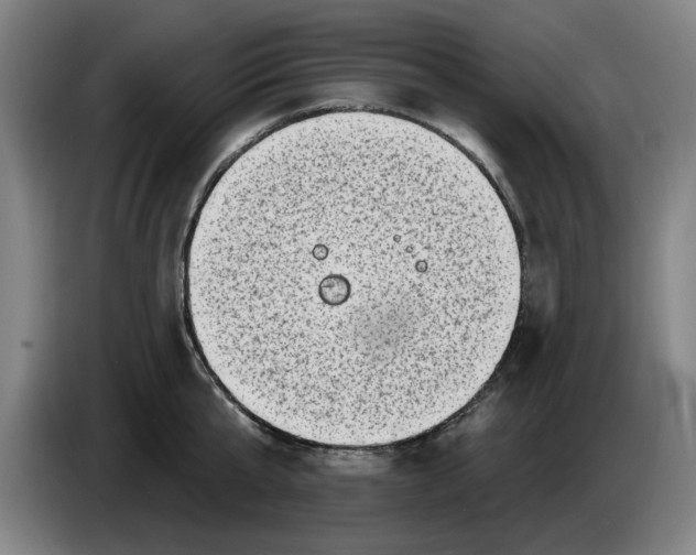 X0000086270807200704191923