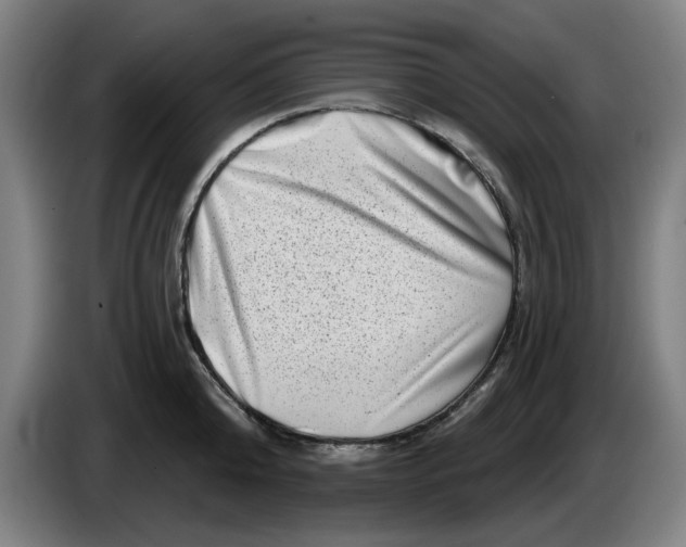 X0000086270808200704191923