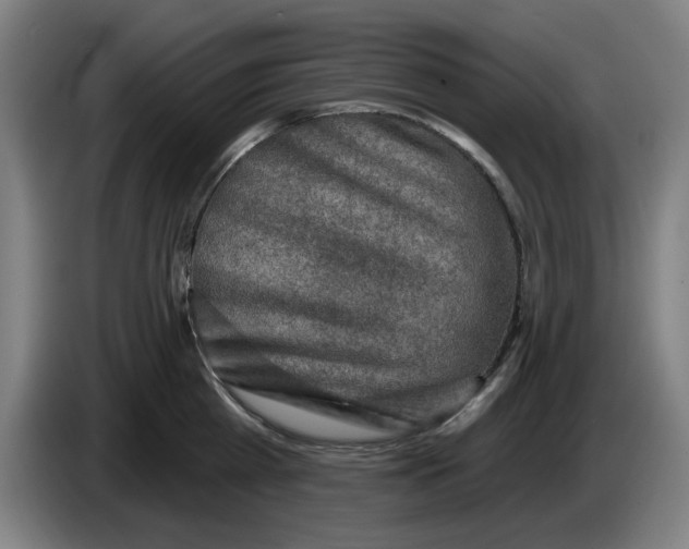 X0000086270809200704191923