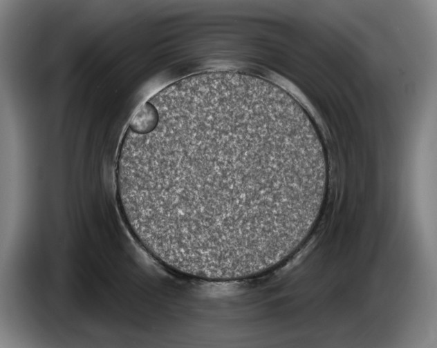 X0000086270810200704191923