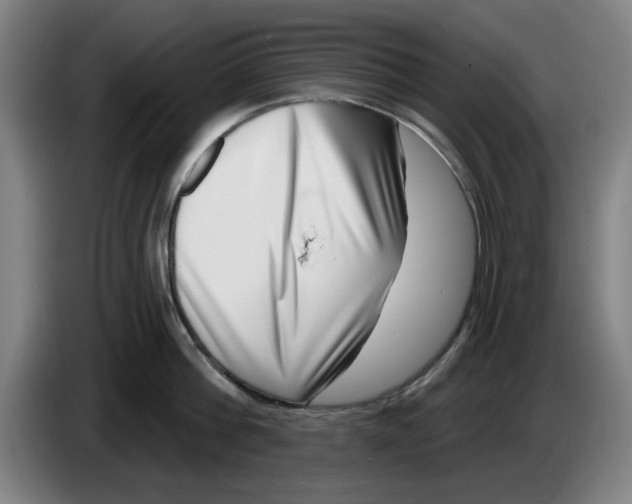 X0000086270812200704191923