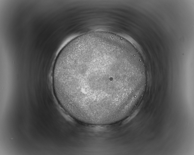 X0000086270814200704191923