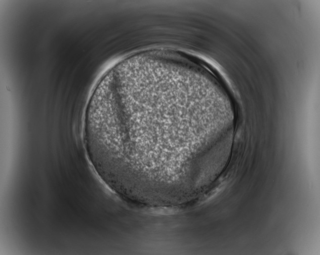 X0000086270815200704191923