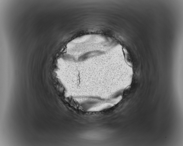 X0000086270817200704191923