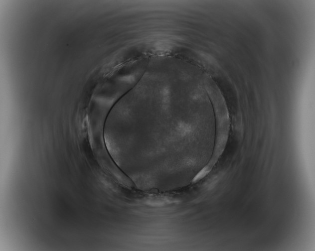 X0000086270818200704191923