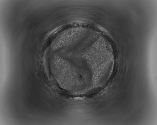 X0000086270822200704191923