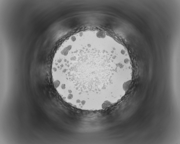 X0000086270824200704191923