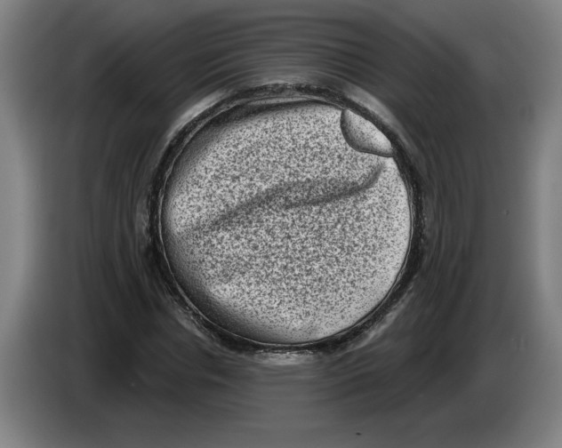 X0000086270826200704191923