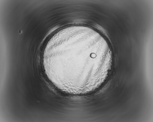 X0000086270827200704191923