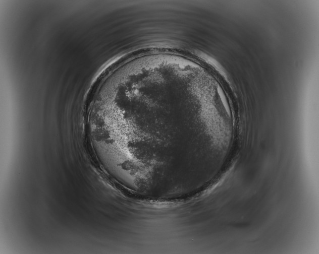 X0000086270829200704191923