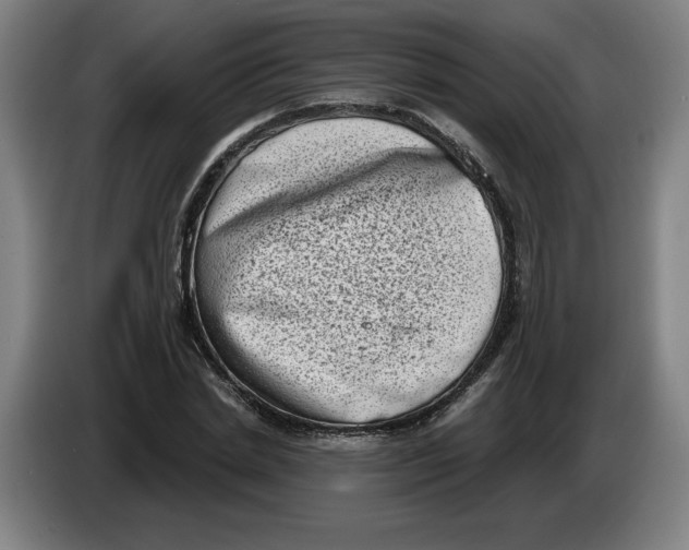 X0000086270830200704191923