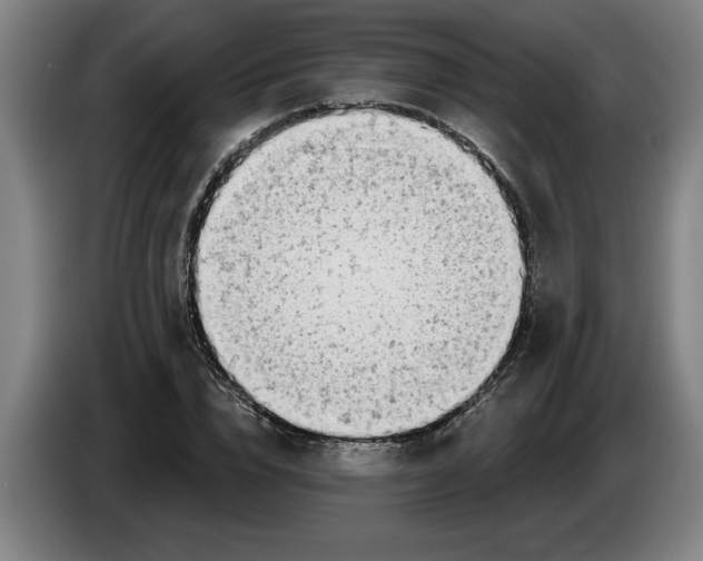 X0000086270832200704191923