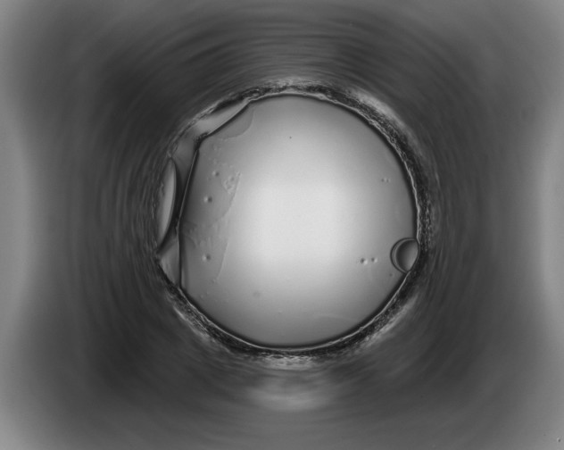 X0000086270833200704191923