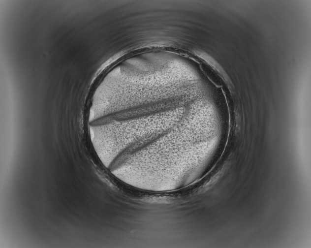 X0000086270834200704191923