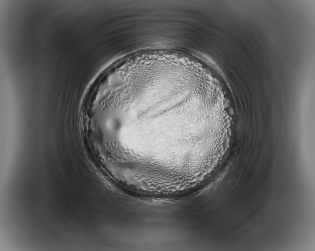 X0000086270835200704191923