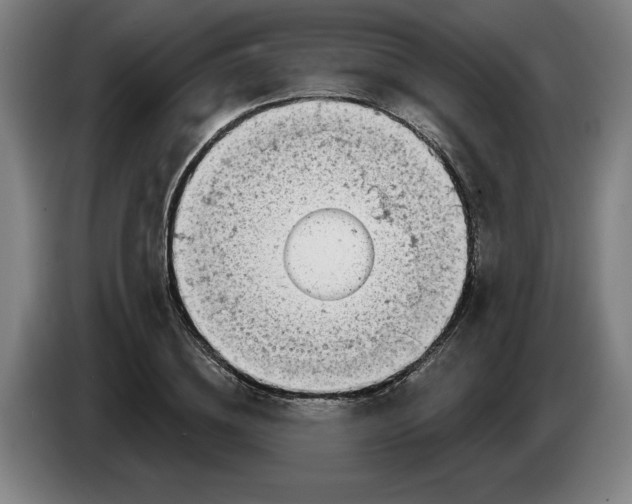 X0000086270836200704191923