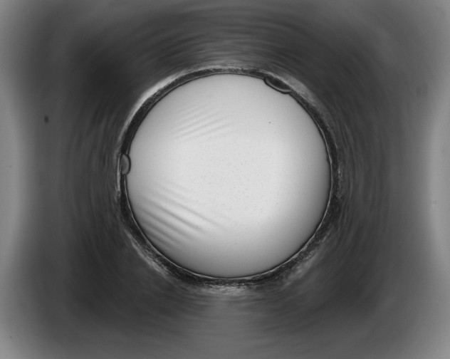 X0000086270838200704191923