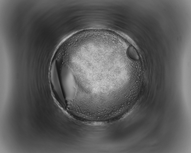 X0000086270839200704191923