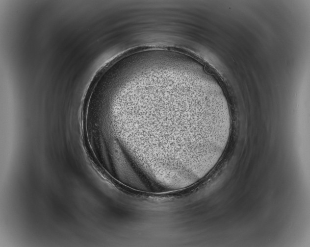 X0000086270840200704191923