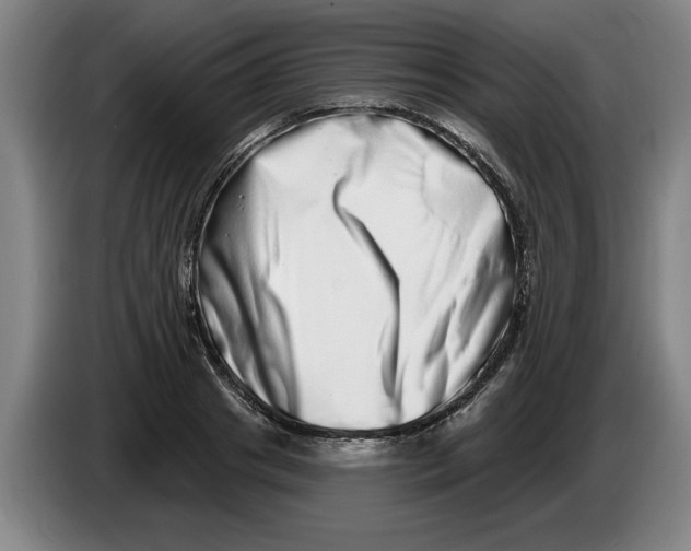 X0000086270841200704191923