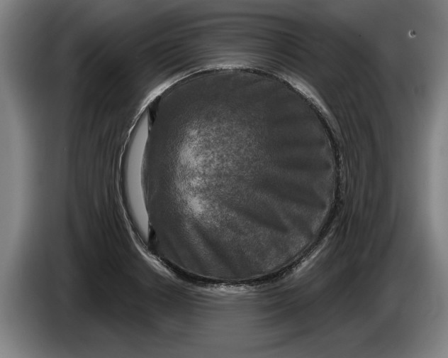 X0000086270842200704191923