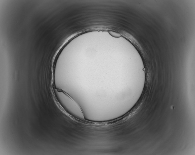 X0000086270844200704191923