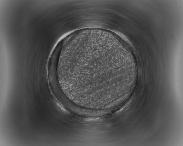 X0000086270846200704191923