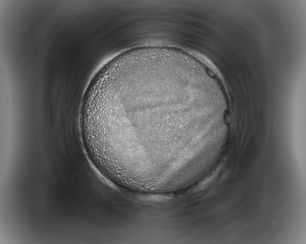 X0000086270847200704191923