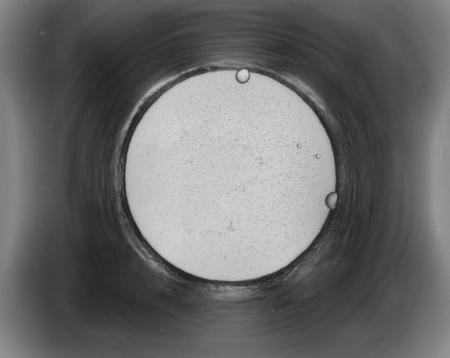 X0000086270848200704191923