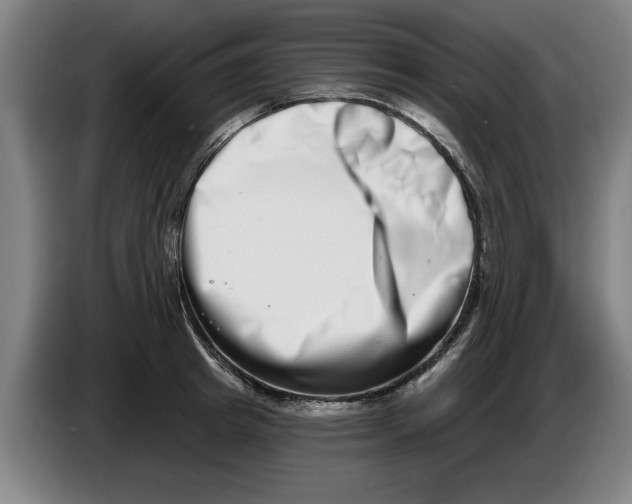 X0000086270849200704191923