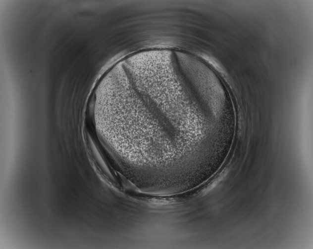 X0000086270850200704191923