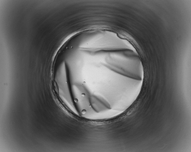 X0000086270852200704191923