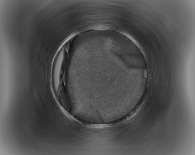 X0000086270853200704191923