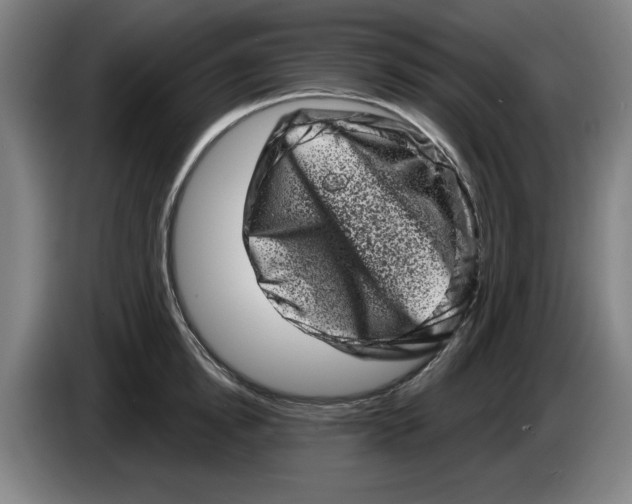 X0000086270854200704191923