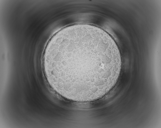 X0000086270856200704191923