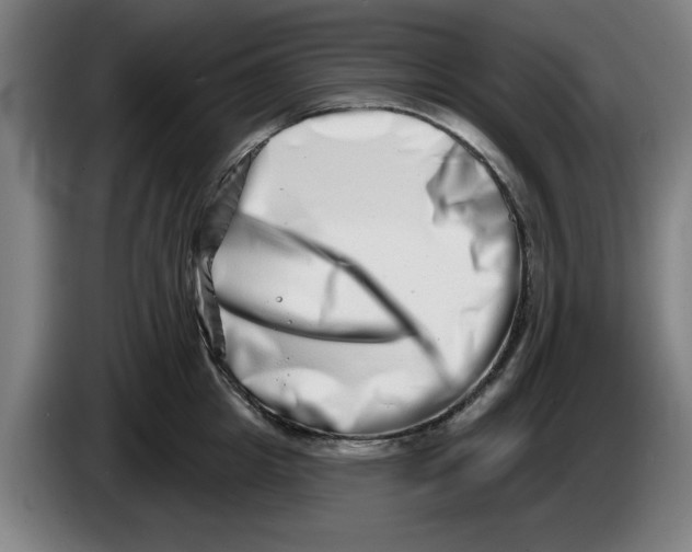 X0000086270857200704191923