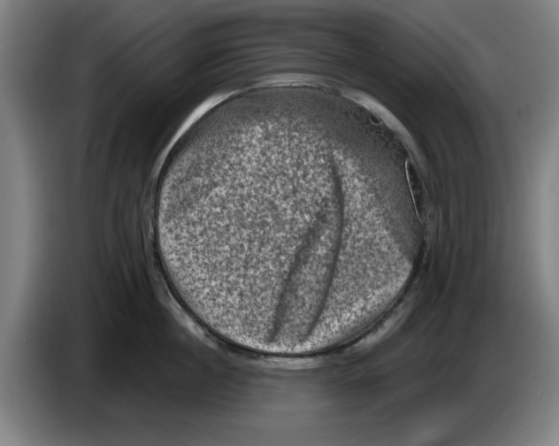 X0000086270860200704191923