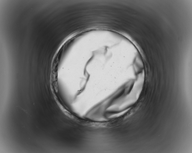 X0000086270861200704191923