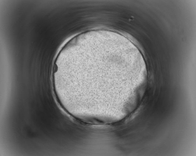 X0000086270863200704191923