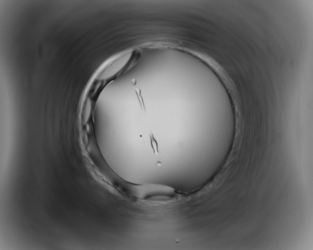 X0000086270864200704191923