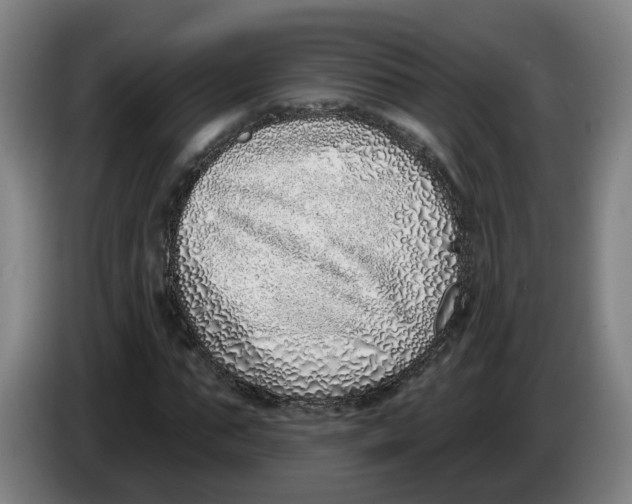 X0000086270871200704191923