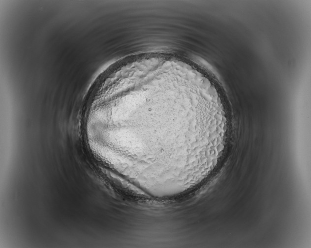 X0000086270875200704191922