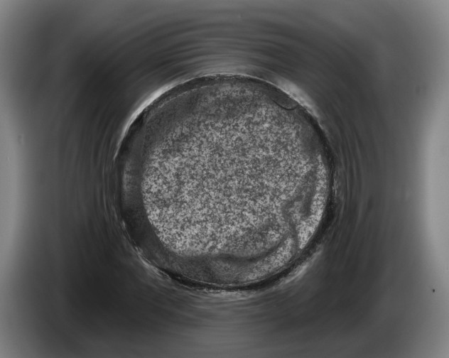 X0000086270877200704191922